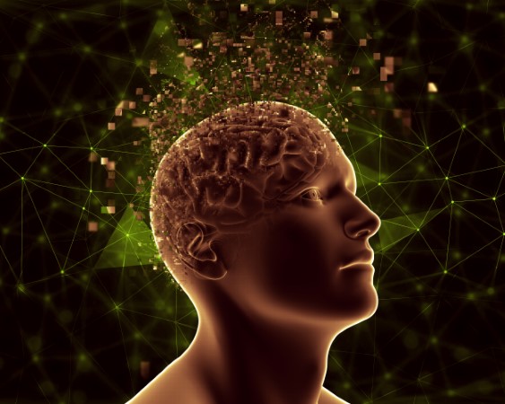 Brain Function Brain Function