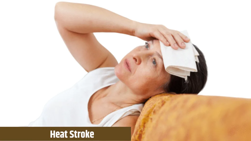 Heat Stroke