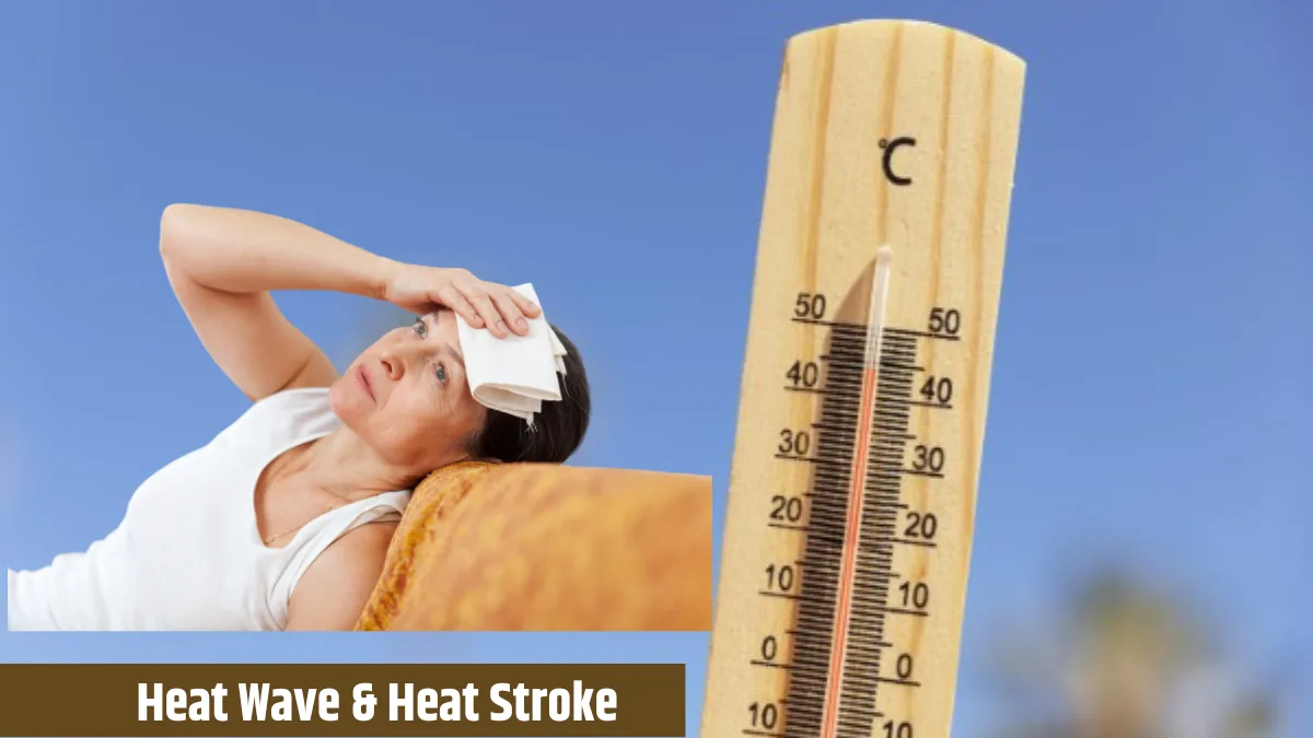 Heat Wave & Heat Stroke